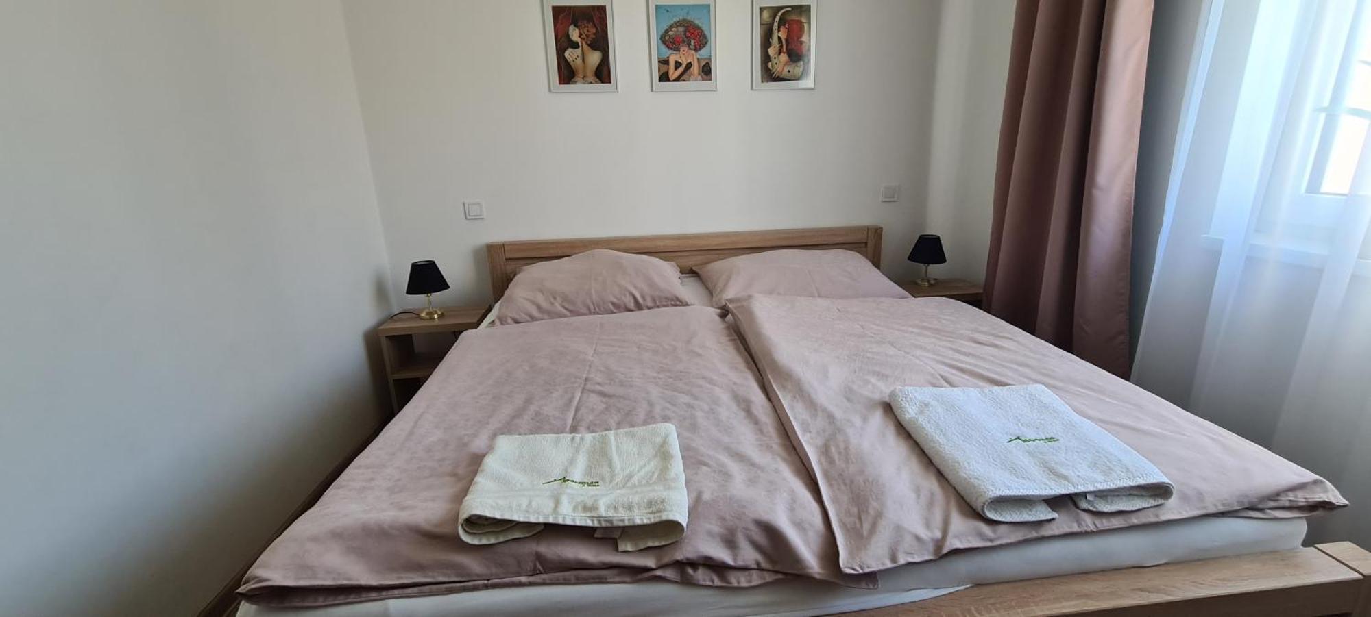 Apartman U Toma Frýdlant nad Ostravicí Eksteriør billede