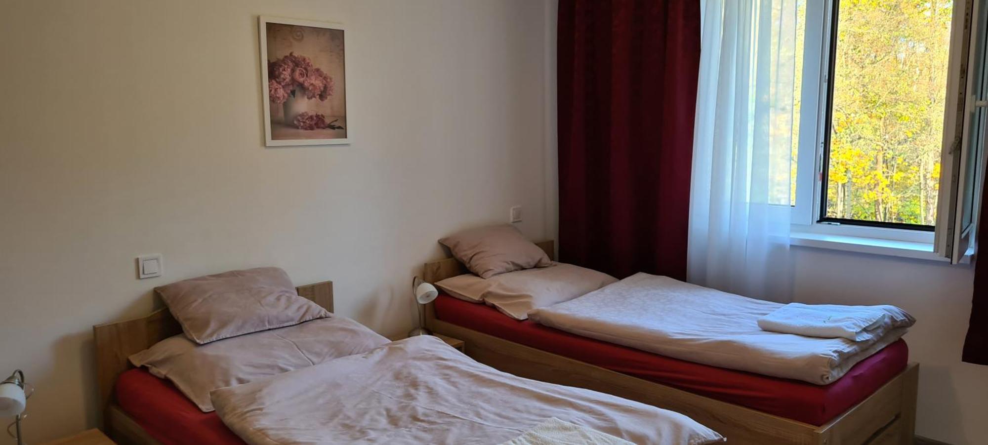 Apartman U Toma Frýdlant nad Ostravicí Eksteriør billede