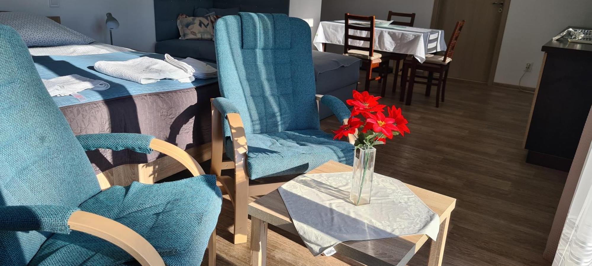 Apartman U Toma Frýdlant nad Ostravicí Eksteriør billede
