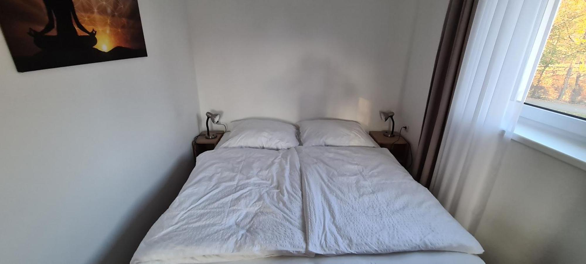 Apartman U Toma Frýdlant nad Ostravicí Eksteriør billede