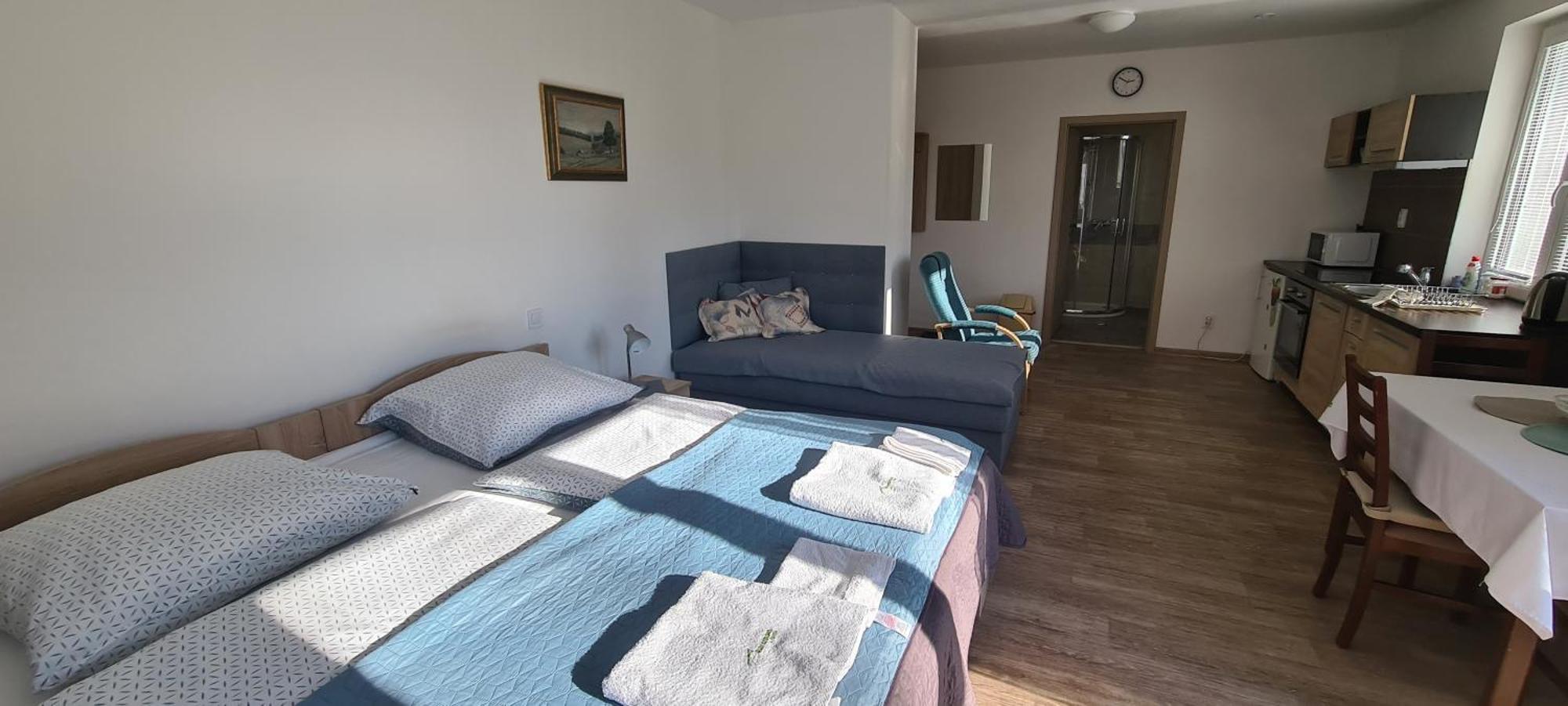 Apartman U Toma Frýdlant nad Ostravicí Eksteriør billede